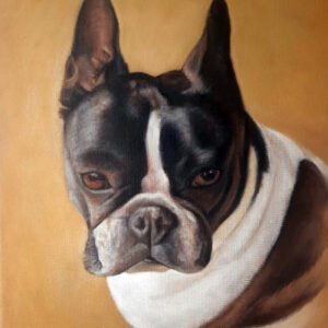 Retrato mascota